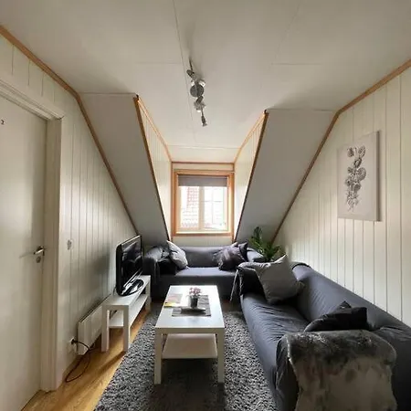 City Center Stylish Loft Trondheim Exterior photo
