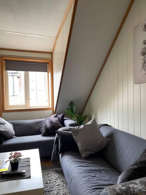 Apartment Center Stylish Loft