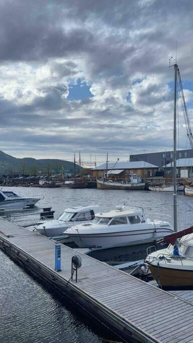 Center Stylish Loft Lägenhet Trondheim